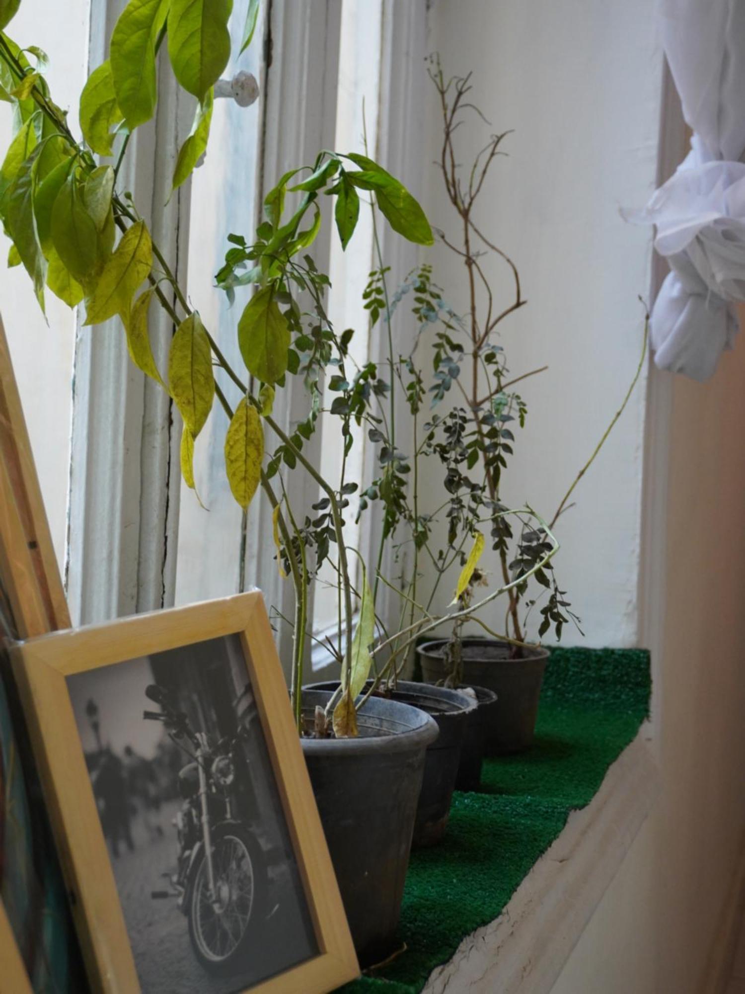 Rhala Hostel Egypt Κάιρο Εξωτερικό φωτογραφία