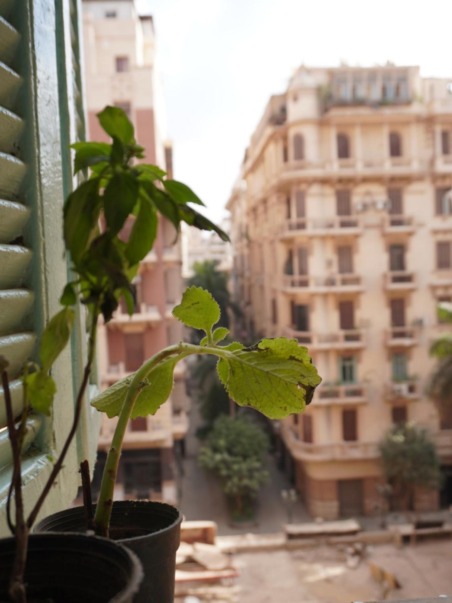 Rhala Hostel Egypt Κάιρο Εξωτερικό φωτογραφία